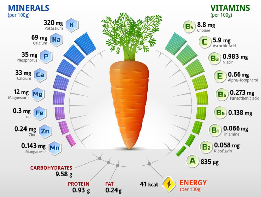 Infographics about nutrients in carrot. Qualitative vector illustration about vitamins, carrot, vegetables, health food, nutrients, diet, etc. It has transparency, blending modes, mask, gradients