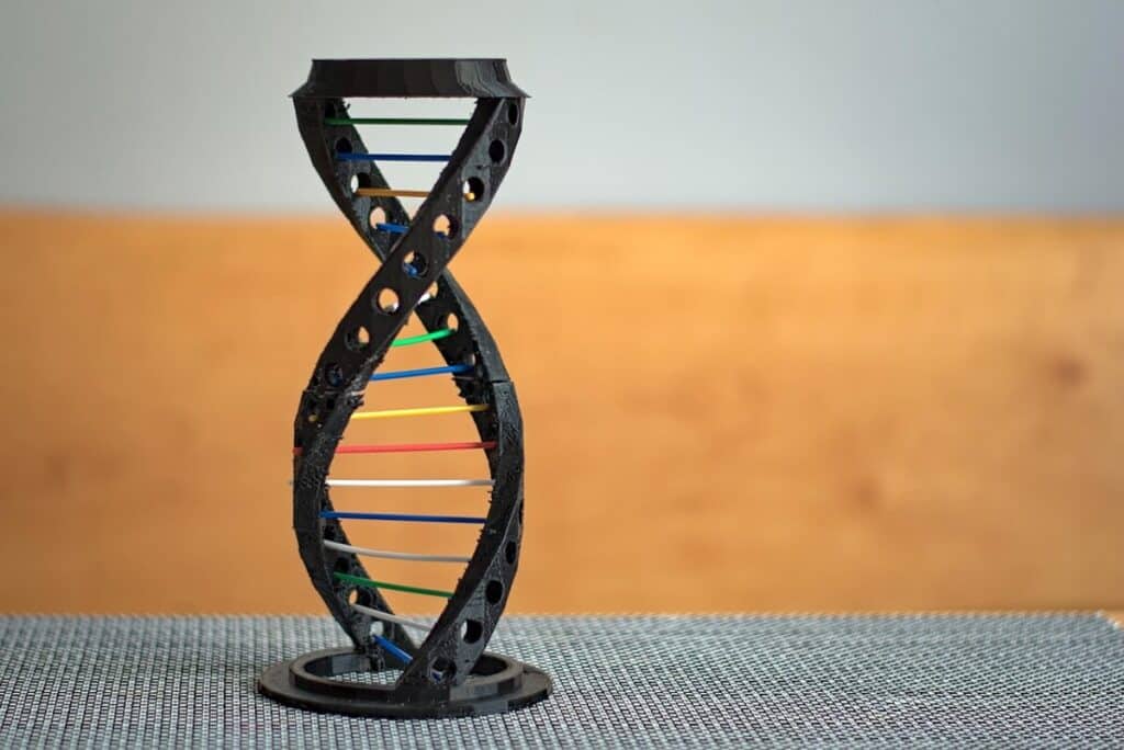 A black DNA model sitting on a metal grid table.