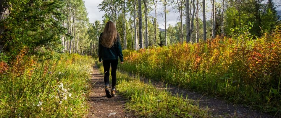 Walking with God through life's journey
