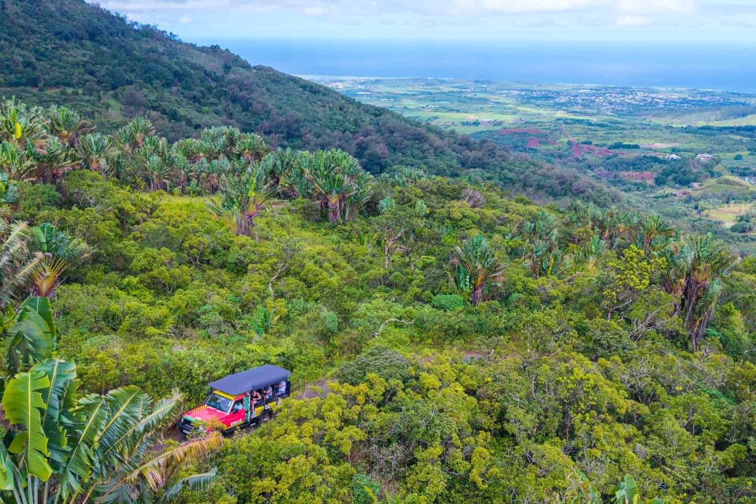 Group in nature at Vallé in Mauritius