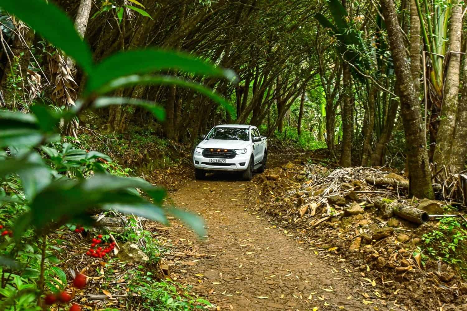 private expeditions, tour Mauritius, Mauritius tours, mauritius day tours, tour activities in Mauritius, nature activities Mauritius, best tours in Mauritius, activities in Mauritius, nature activities.