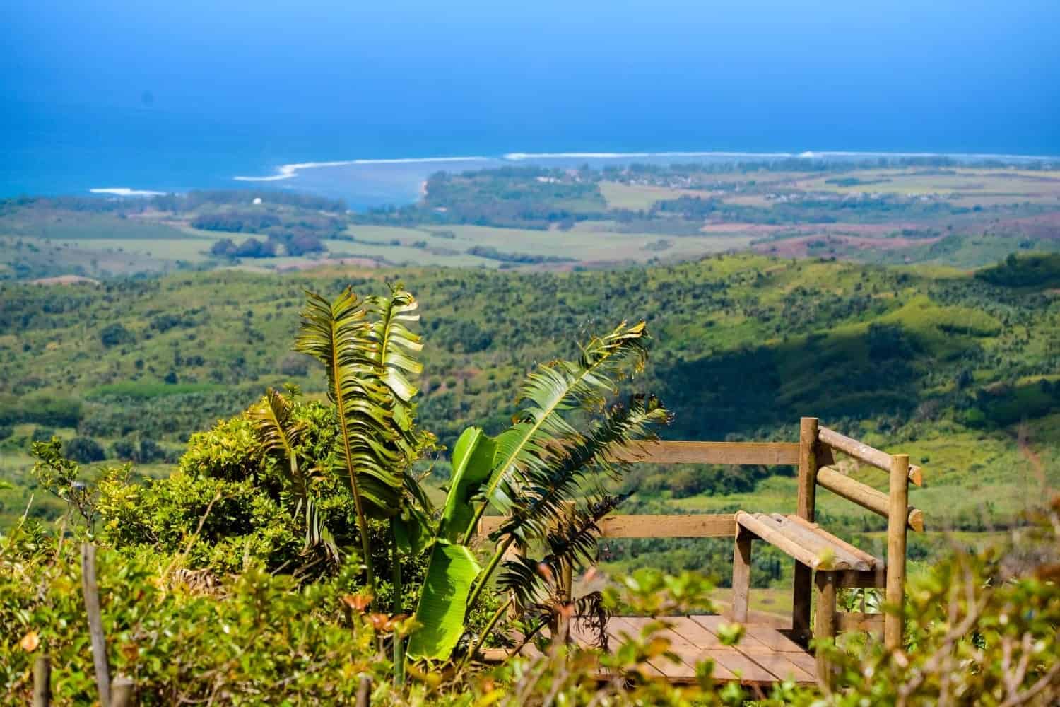 viewpoint from the peak at Vallé, nature Mauritius, Mauritius nature tour, Mauritius natural beauty, activities in Mauritius