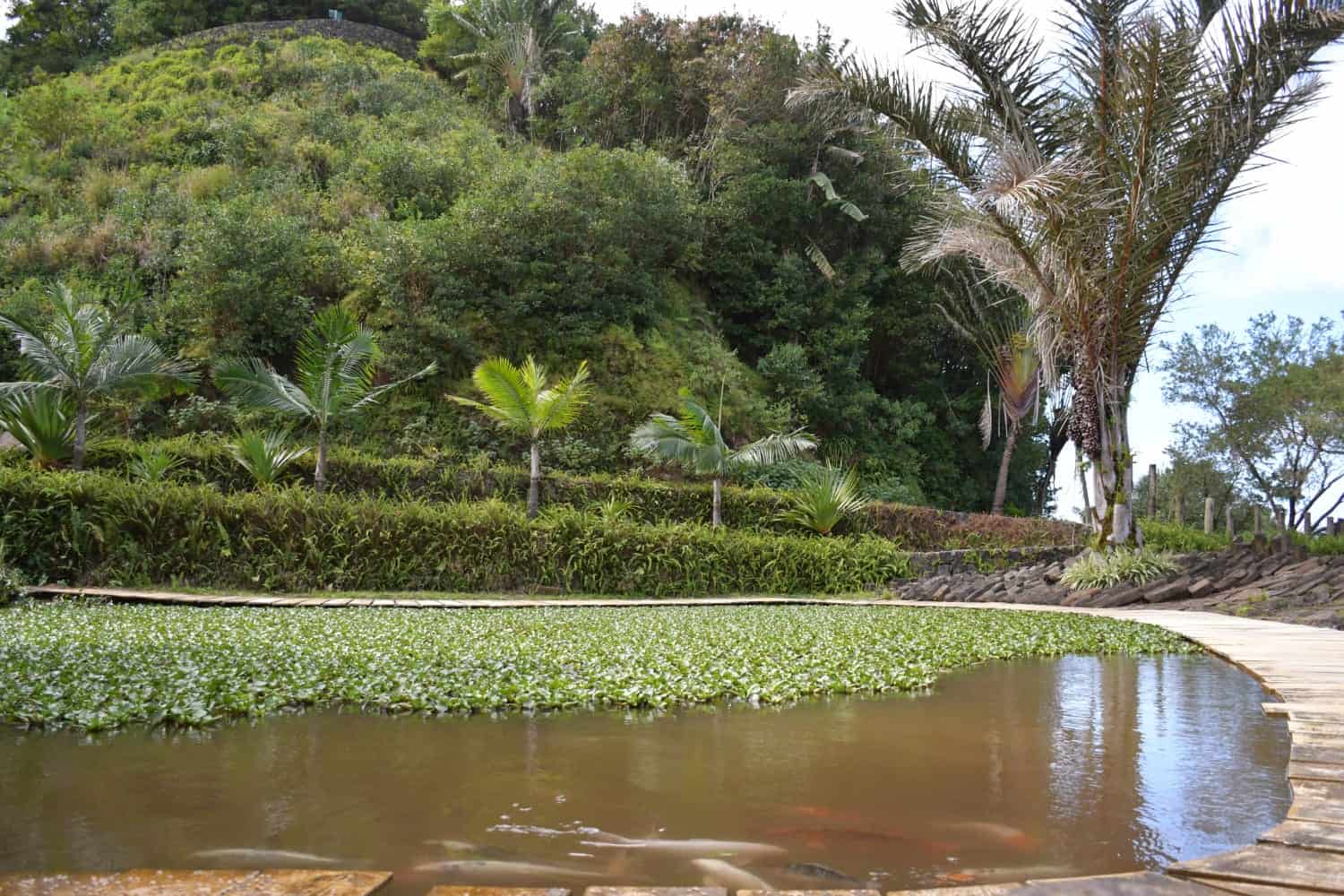 rock garden in Mauritius, Vallé Rock Garden, Zen garden Mauritius, nature retreat, peaceful garden Mauritius