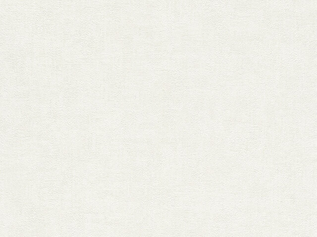 Tapete  - Wallbasics 2026-007