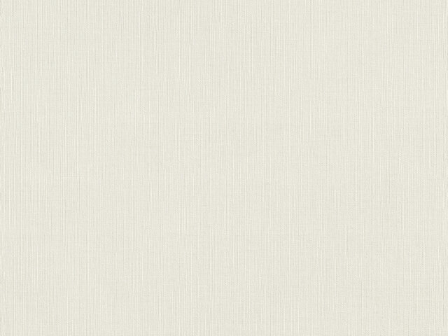 Tapete  - Wallbasics 2026-017
