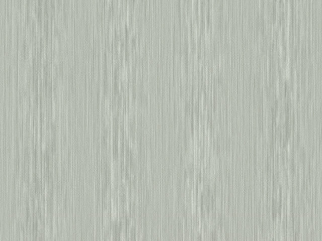 Tapete  - Wallbasics 2026-024