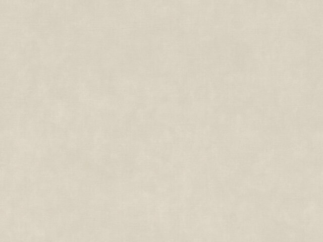 Tapete  - Wallbasics 2026-031