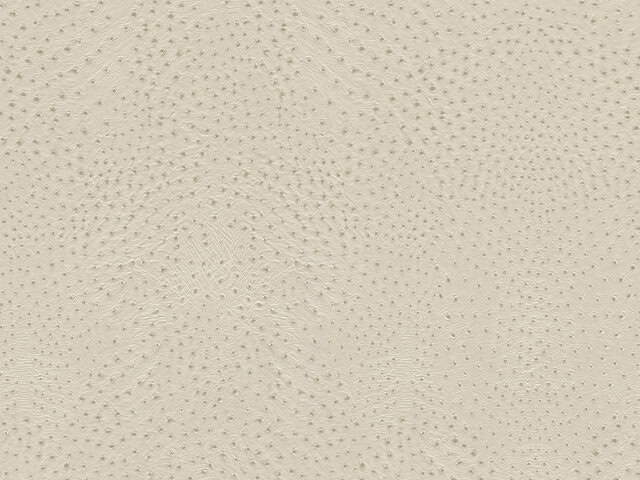 Tapete  - Wallbasics 2026-034
