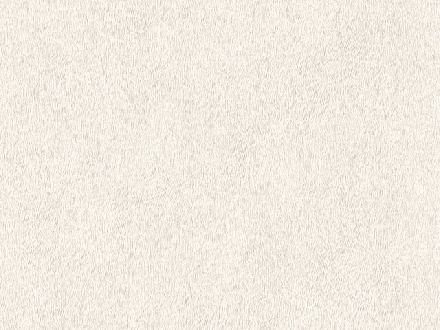 Tapete  - Wallbasics 2026-038