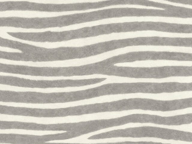 Tapete  - Wallbasics 2026-039