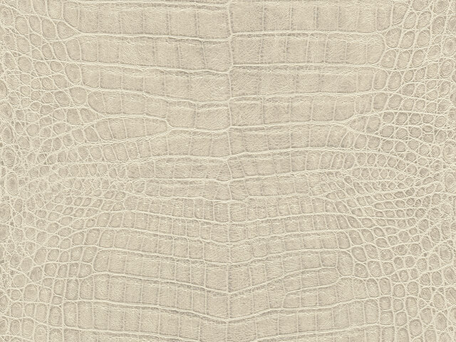 Tapete  - Wallbasics 2026-044