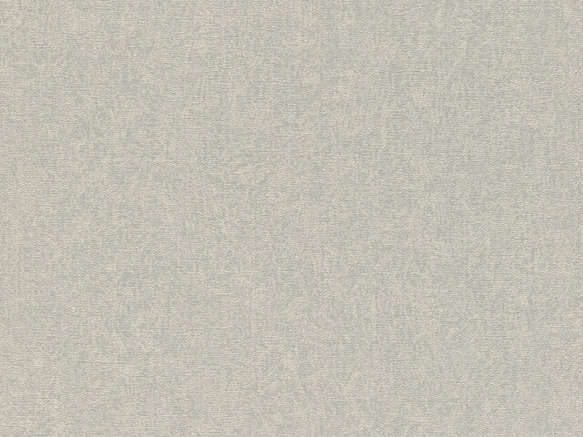 Tapete  - Wallbasics 2026-047