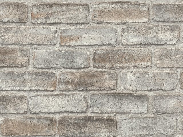 Tapete  - Wallbasics 2026-050