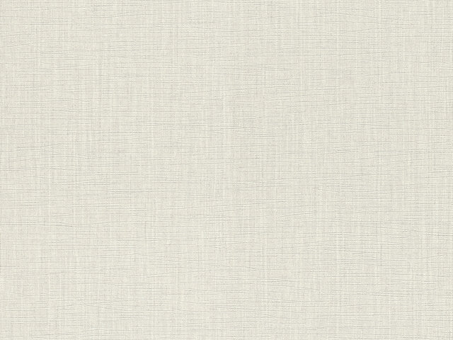 Tapete  - Wallbasics 2026-051