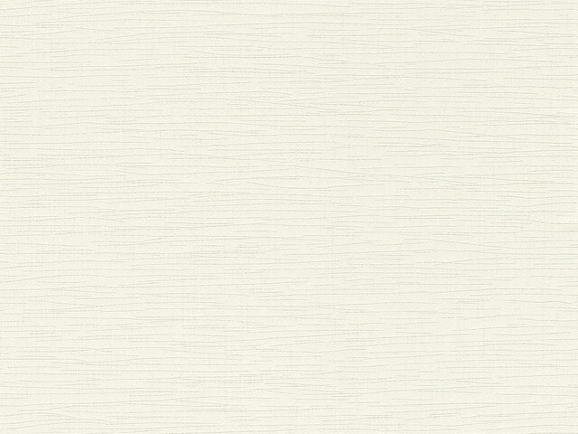 Tapete  - Wallbasics 2026-052