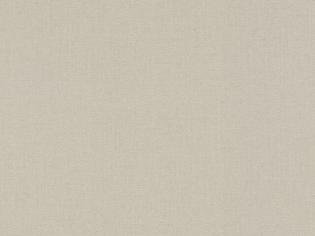 Tapete  - Wallbasics 2026-055
