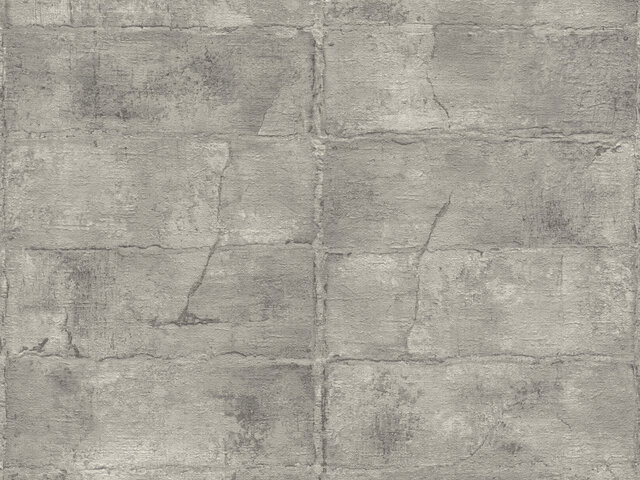 Tapete  - Wallbasics 2026-057
