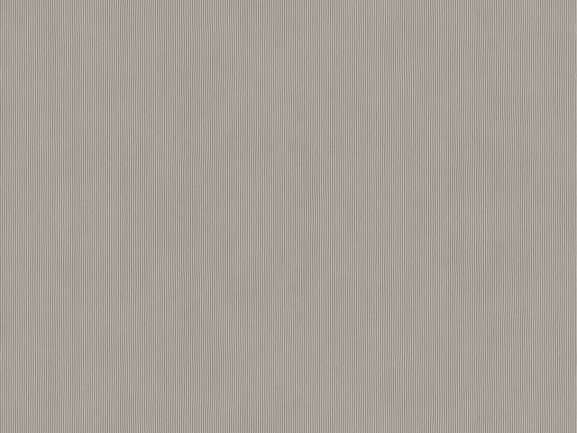 Tapete  - Wallbasics 2026-060