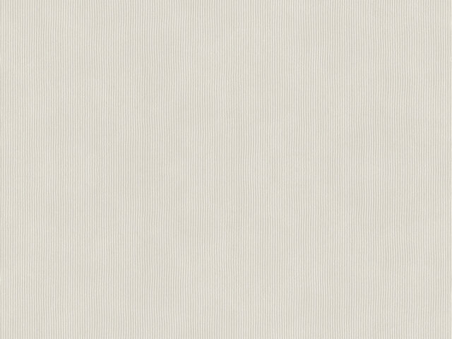Tapete  - Wallbasics 2026-061