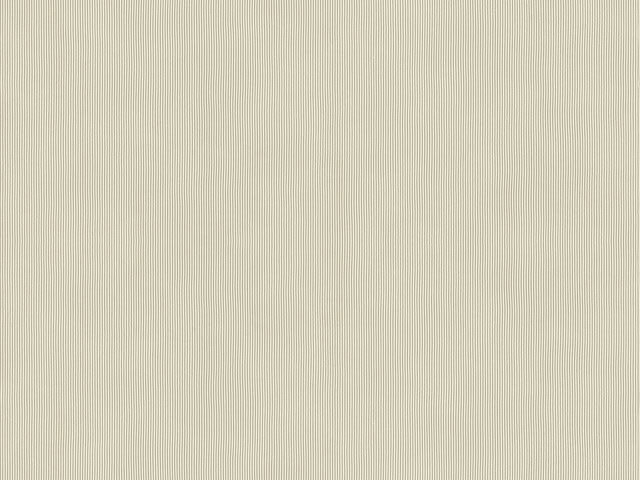Tapete  - Wallbasics 2026-070