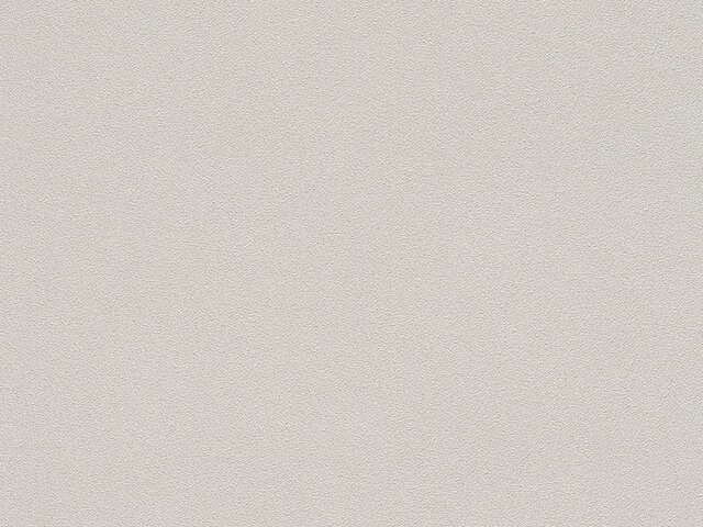Tapete  - Wallbasics 2026-075