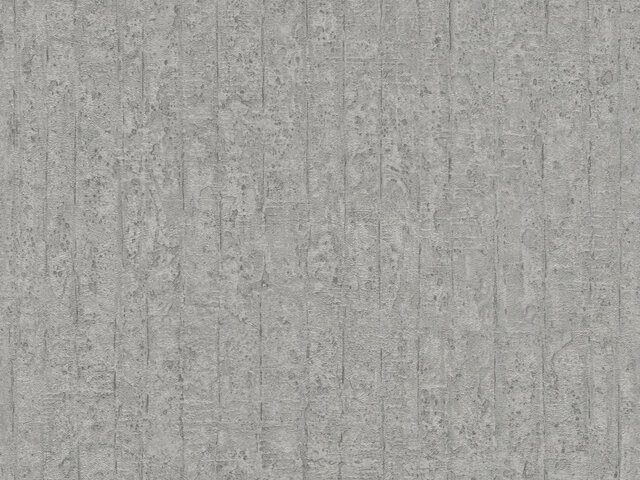 Tapete  - Wallbasics 2026-076