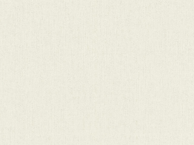Tapete  - Wallbasics 2026-096