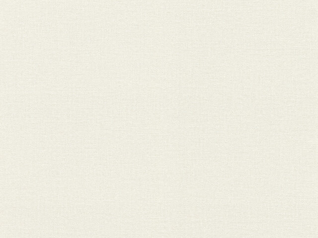 Tapete  - Wallbasics 2026-099