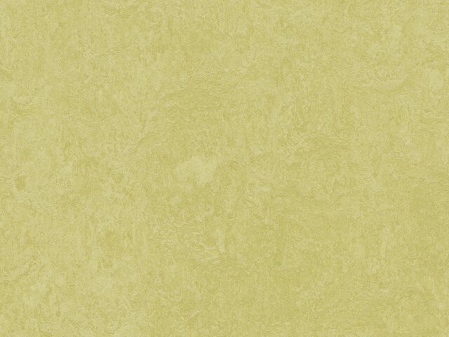 Linoleum Espace balanced - 003259
