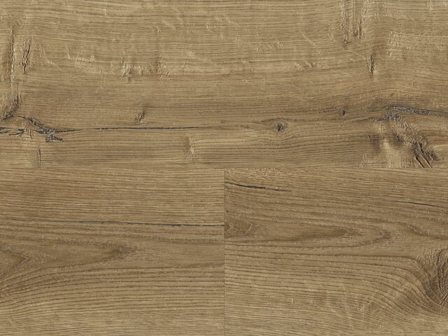Designbelag Beluga next generation wood XL zum Kleben - Colares Oak