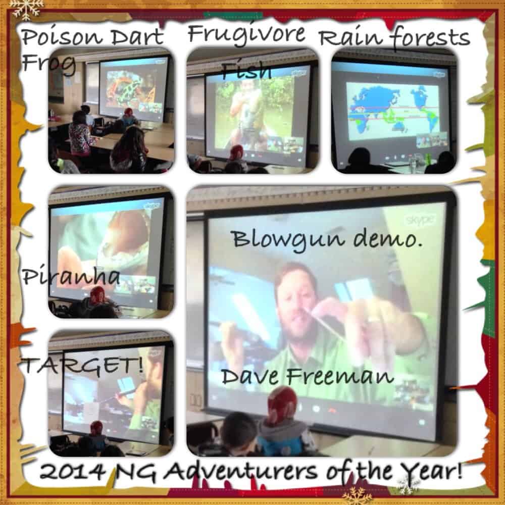 Rainforest Virtual Assembly