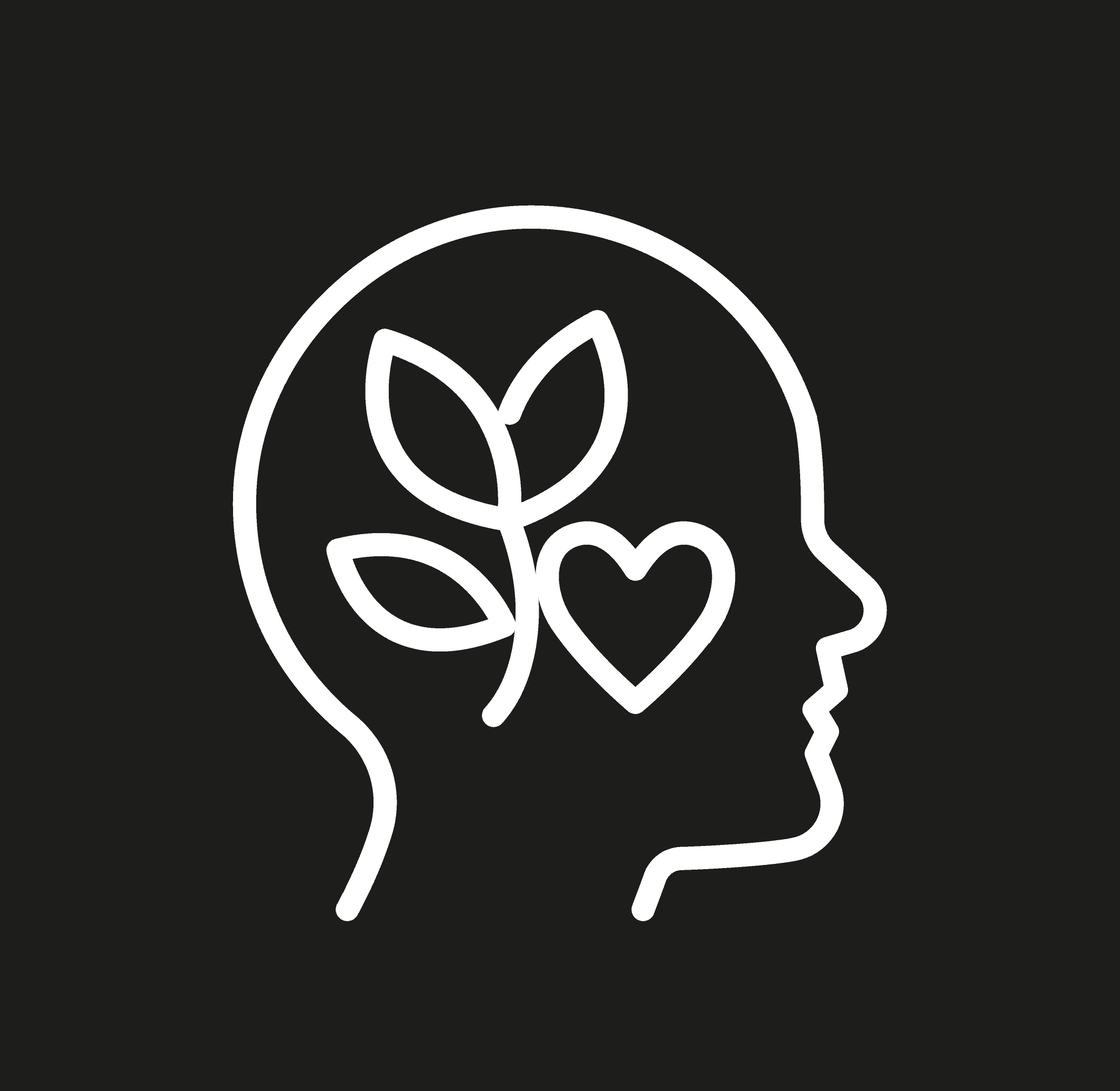peace of mind icon