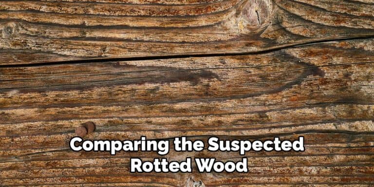 How to Tell if Wood Is Rotted | 10 Effective Methods (2026)