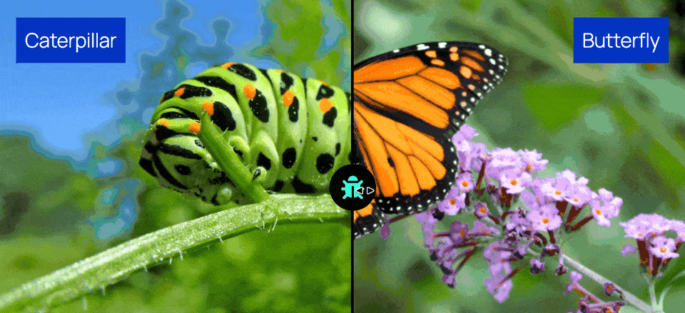 Image Comparison Elementor