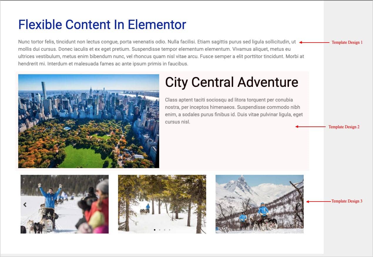 ACF Flexible Content In Elementor Demo