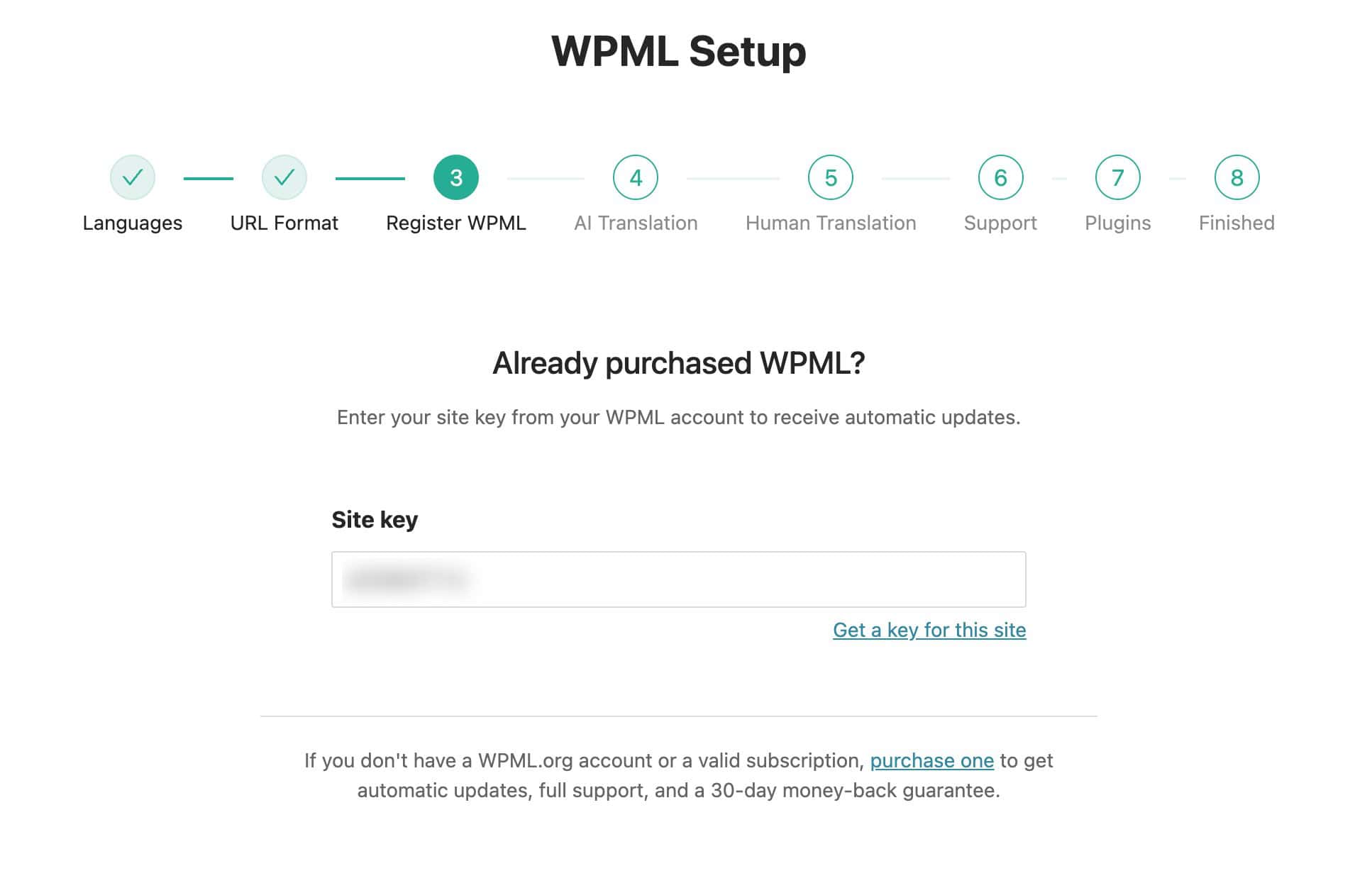 WPML Setup: Register WPML Settings