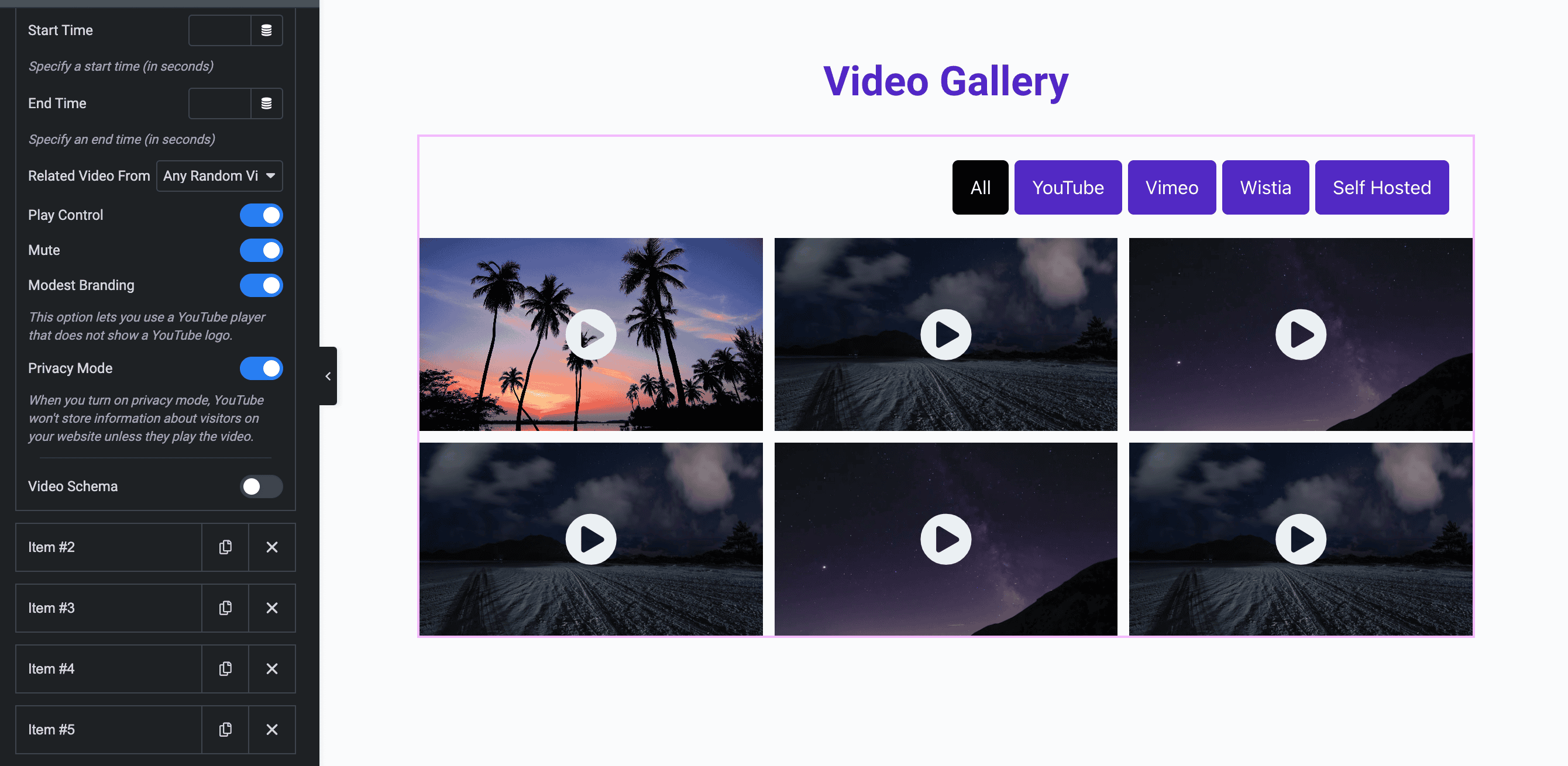 Video Gallery: Custom List Settings