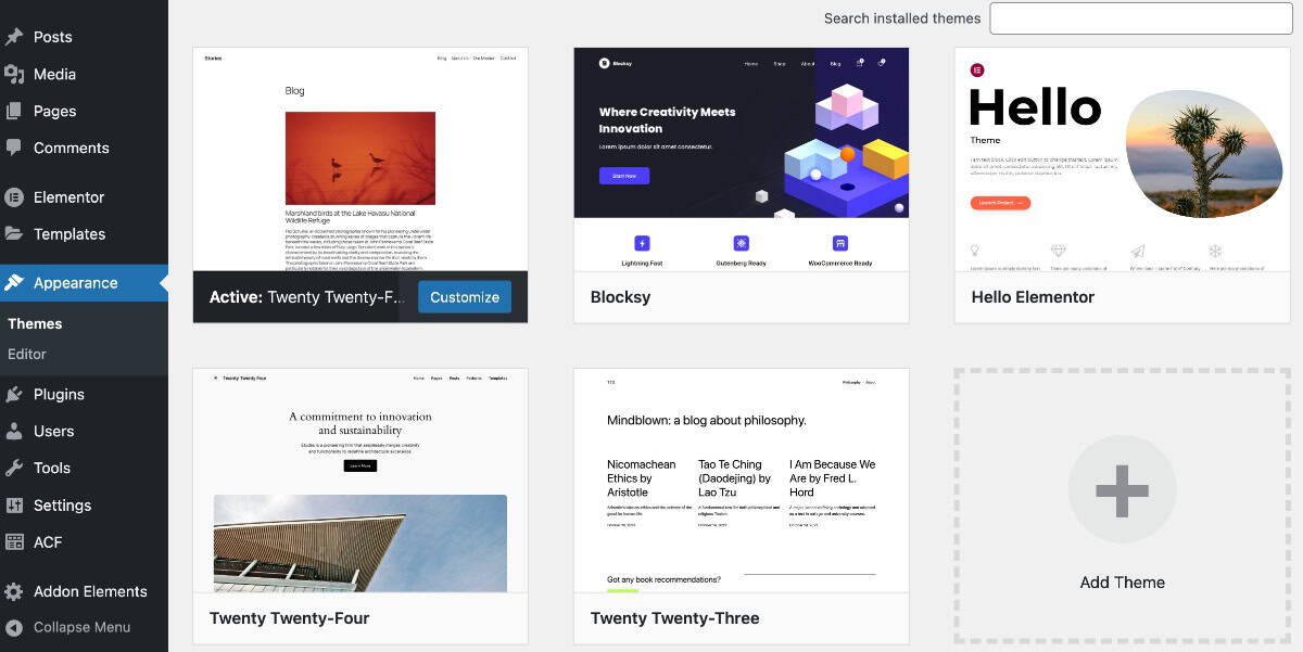 Install WordPress Theme