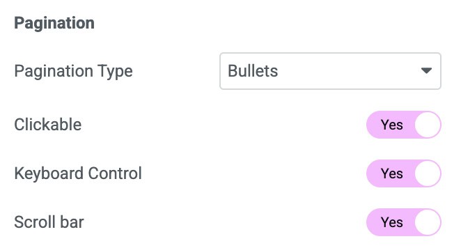 DA - ACF Repeater Carousel Pagination Settings