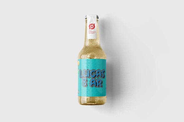 Dino - sodavand m. navn og alder - økologisk ginger ale / 12