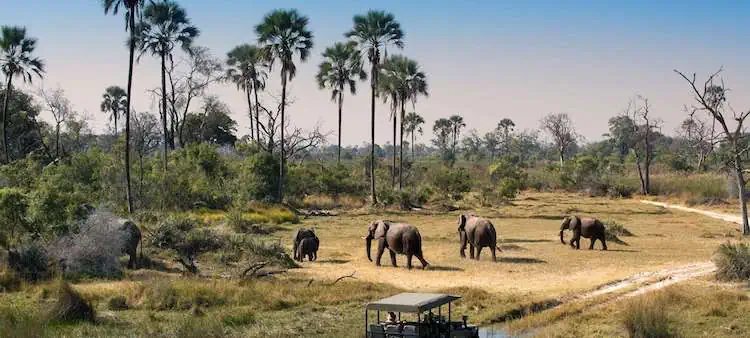 Botswana 19