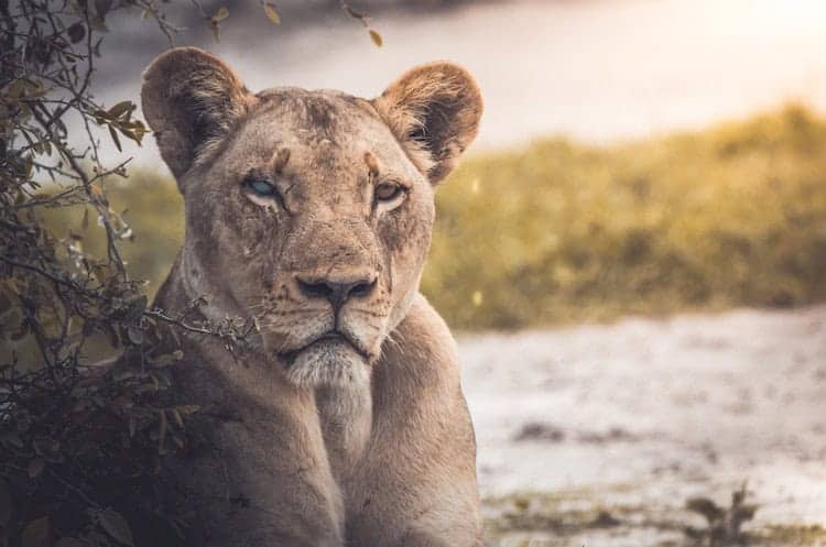 Geran de klerk puhnmljhxj8 unsplash