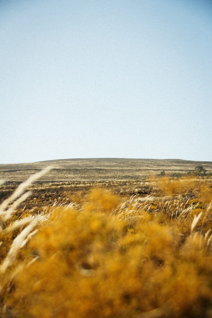 Mzimasi ndzombane mjlx8efz6gw unsplash