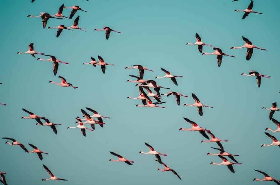 Sergi ferrete i4llpwtnato unsplash