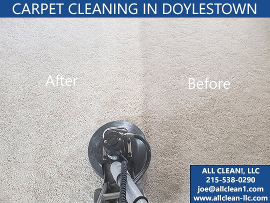 Various carpet cleaning methods demonstration