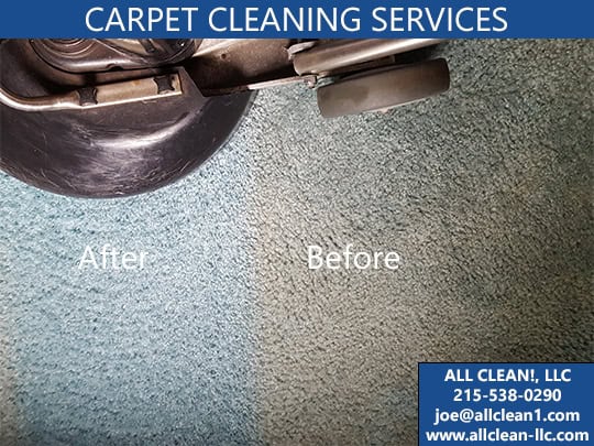 Professional carpet cleaning equipment and results
