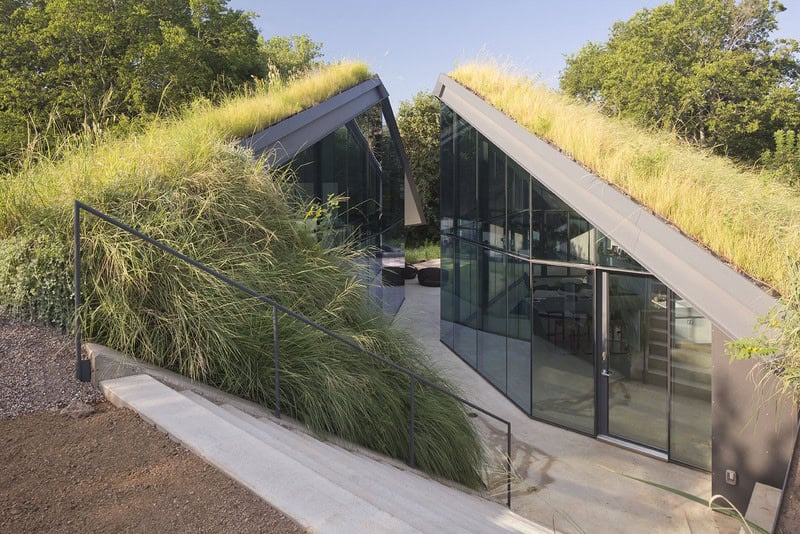 Modern eco-friendly glass house with green roof and surrounding vegetation, showcasing sustainable architecture and innovative design.