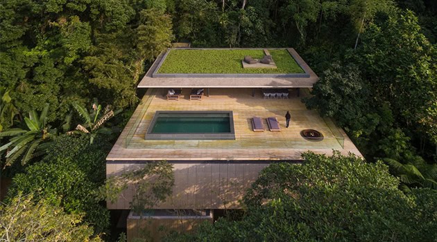 Modern rooftop home with a lush green garden, swimming pool, and outdoor relaxation area set amidst a dense forest, exemplifying contemporary architecture and innovative design.