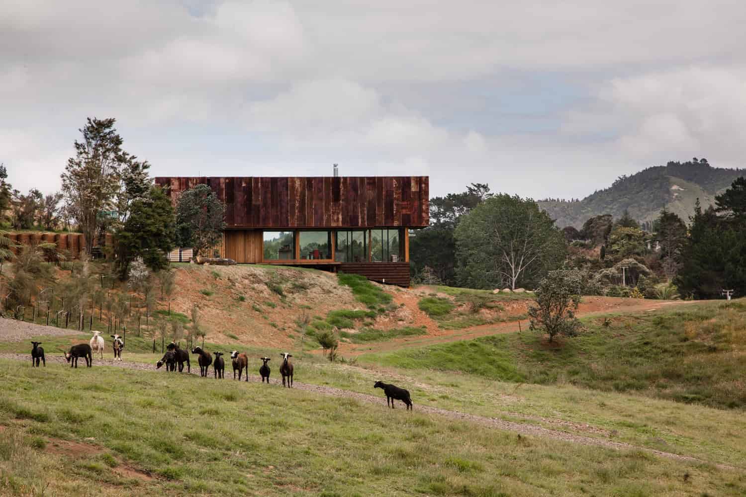 Modern rustic house with steel and wood exterior design in a countryside setting with grazing goats.
