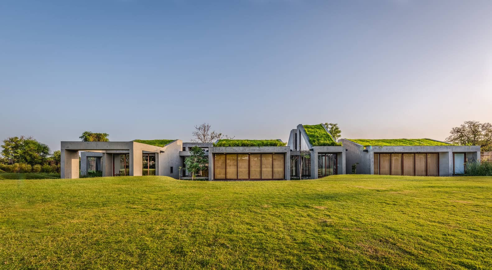 Contemporary modern house with sustainable green roofs, blending innovative architecture with eco-friendly design, surrounded by lush grass and trees.